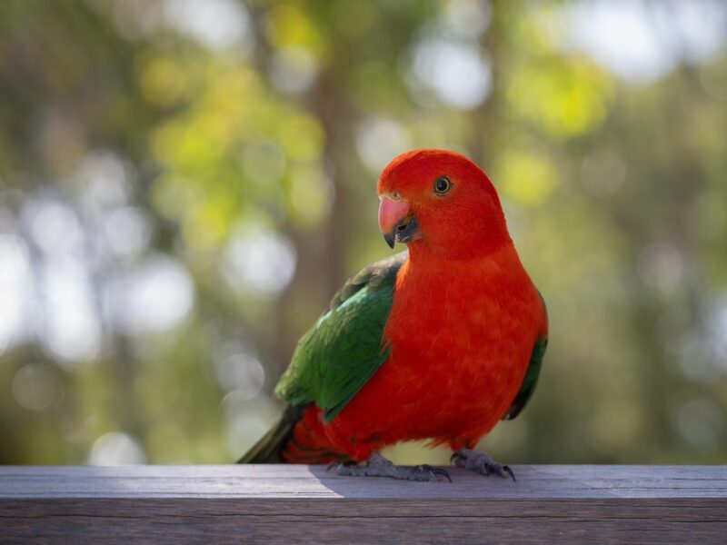 Гороскоп для всіх знаків зодіаку на 22 серпня 2025 року