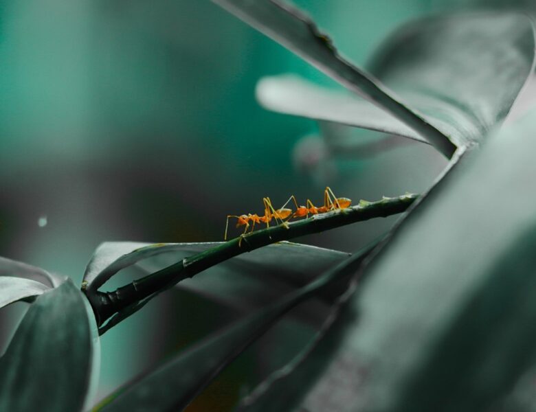 Гороскоп для всіх знаків зодіаку на 26 серпня 2025 року