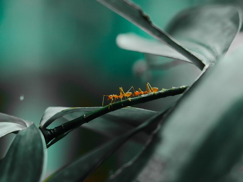 Гороскоп для всіх знаків зодіаку на 26 серпня 2025 року