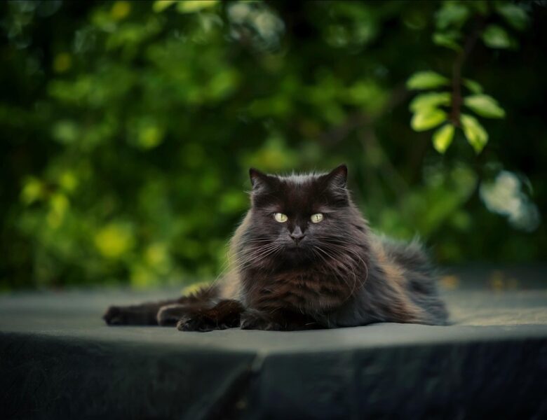 Гороскоп для всіх знаків зодіаку на 28 серпня 2025 року