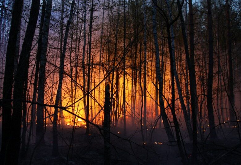 Іспанія у вогні: вирують масштабні лісові пожежі