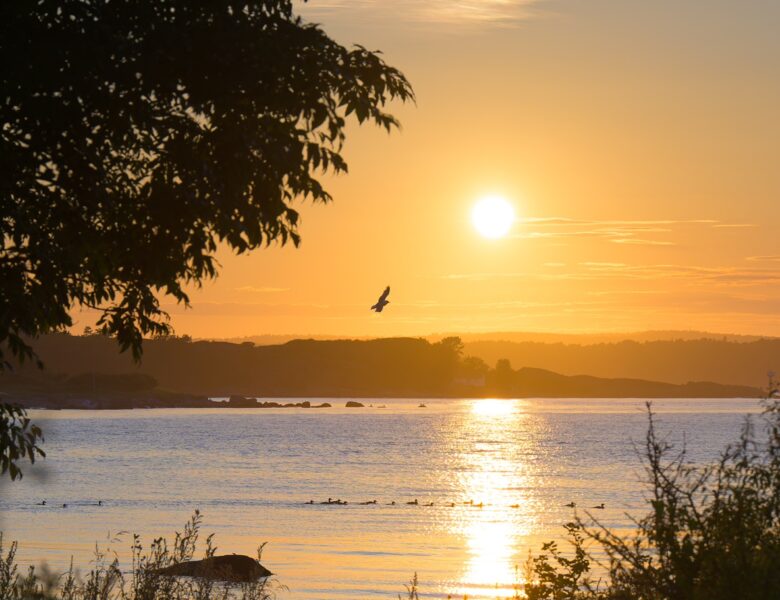 Липень став третім найспекотнішим за всю історію спостережень