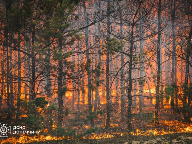 На Донеччині ліквідували масштабну лісову пожежу