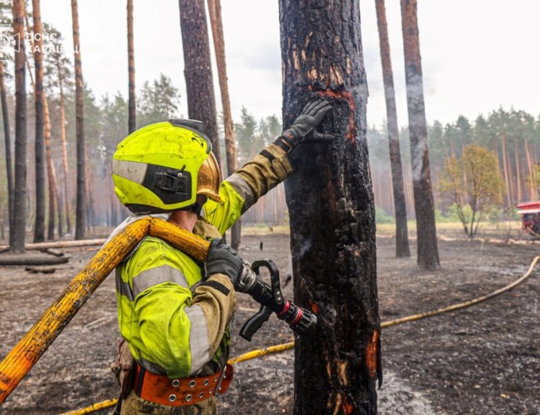 На Харківщині ліквідували масштабну лісову пожежі