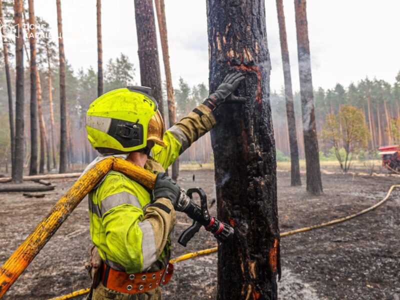 На Харківщині ліквідували масштабну лісову пожежі