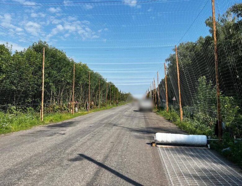 Над дорогами Сумщини зводять “антидронові тунелі”