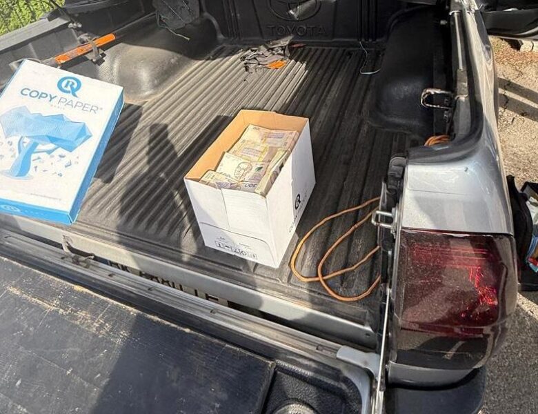 Посадовця Лісів України затримали за хабар у 3 млн