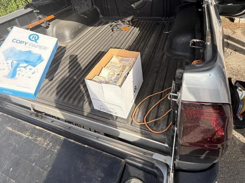 Посадовця Лісів України затримали за хабар у 3 млн