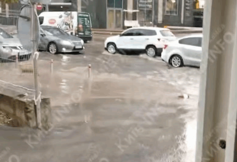 Повалені дерева й підтоплення: Київ накрила гроза