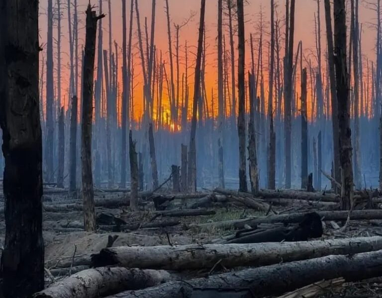 РФ задіює дрони для наступу в лісах Донбасу – ISW