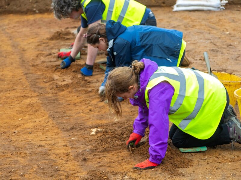 Шукають Бурштинову кімнату: у Польщі почалися розкопки