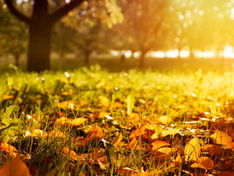 Спека, подекуди грози: синоптики про погоду на початку вересня