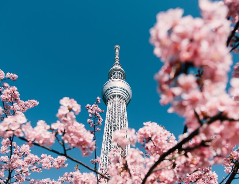 Токіо визнали найкращим містом для дистанційної роботи