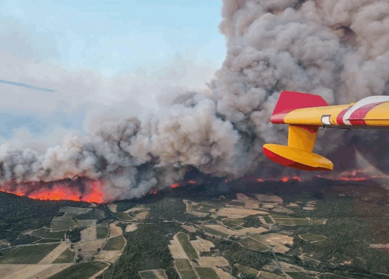 У Франції вирує масштабна лісова пожежа