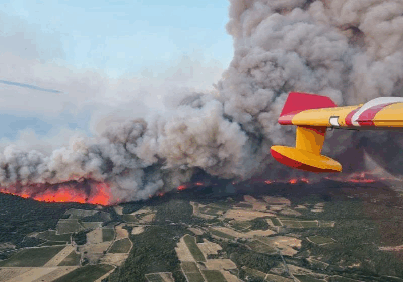 У Франції вирує масштабна лісова пожежа