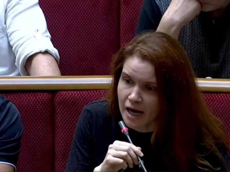 У Раді прийняли рішення відносно Безуглої