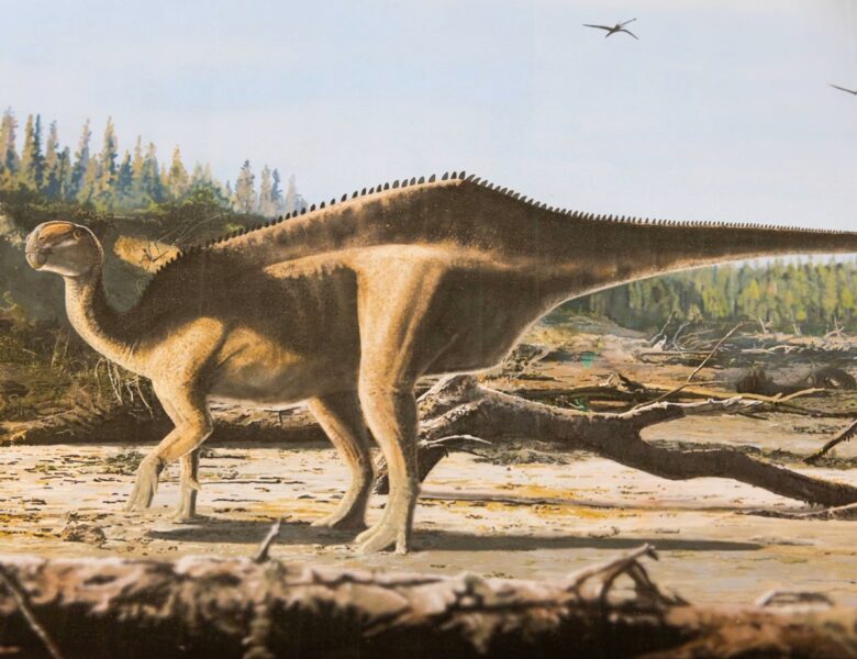 У Великій Британії відкрили новий вид динозавра з “парусом” на спині
