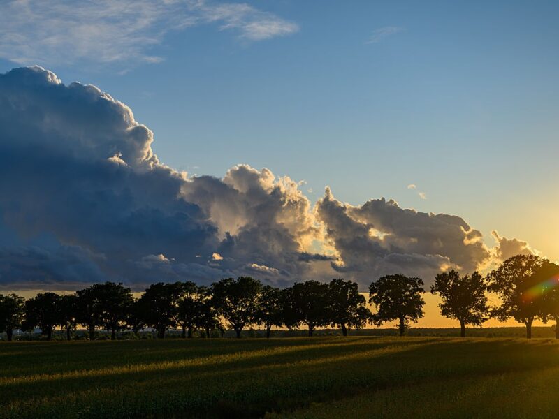 Українцям обіцяють суху та спекотну погоду на вихідних