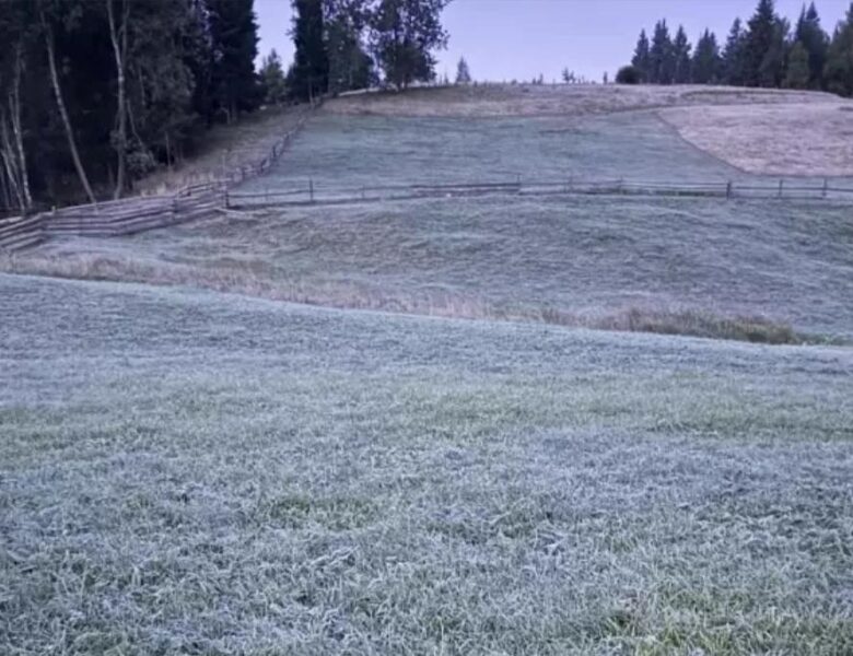 В селі на Буковині зафіксували п’ятиградусний мороз