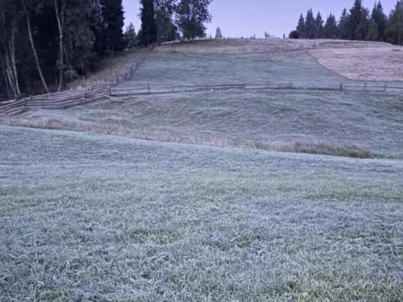 В селі на Буковині зафіксували п’ятиградусний мороз