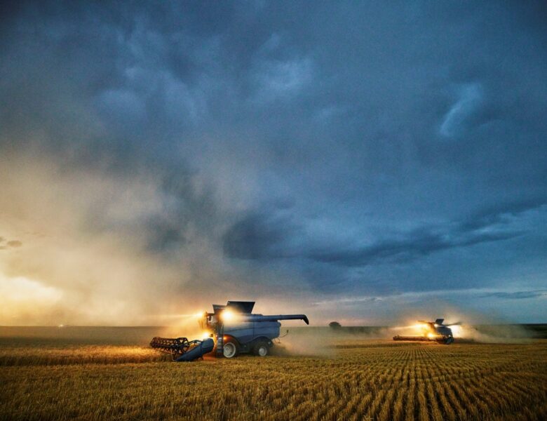 В Україні обмолотили половину засіяних площ ранніх зернових