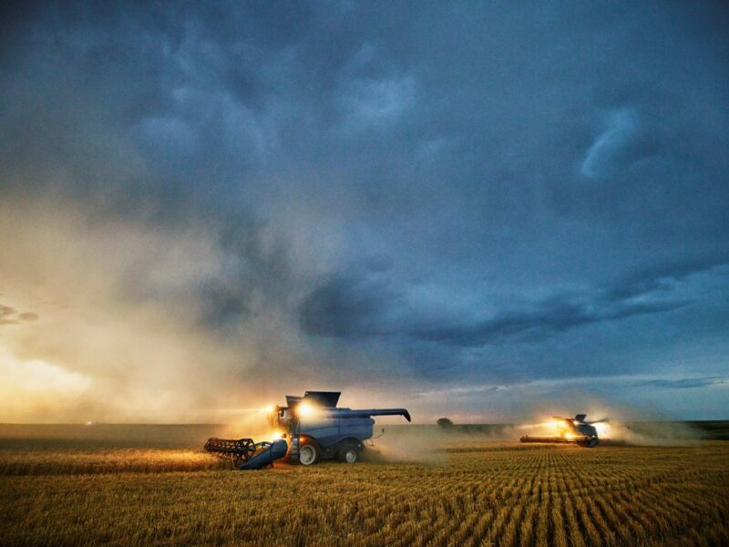 В Україні обмолотили половину засіяних площ ранніх зернових