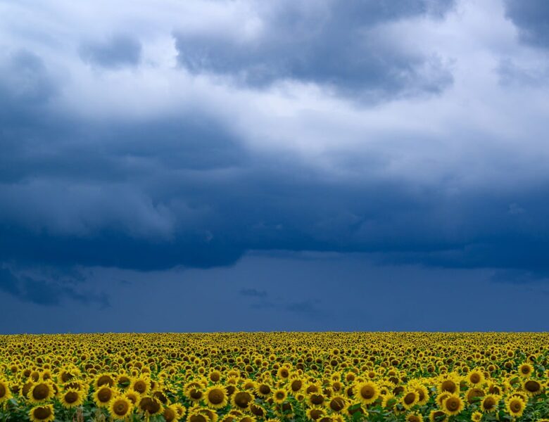 В Україні прогнозують до +33°, подекуди грози та град