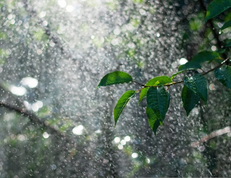 В Україні прогнозують суху та теплу погоду