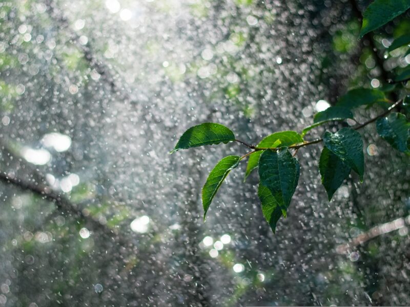 В Україні прогнозують суху та теплу погоду