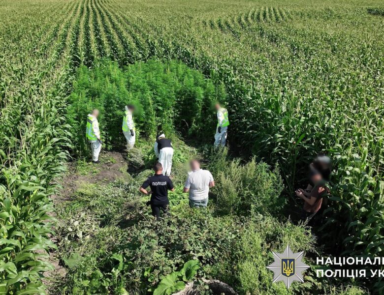 В Україні провели масштабну операцію Джентельмени