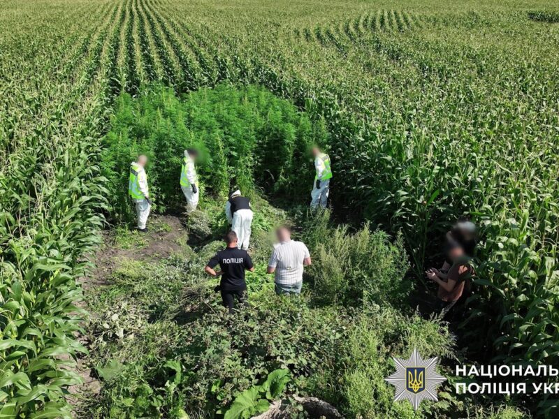 В Україні провели масштабну операцію Джентельмени