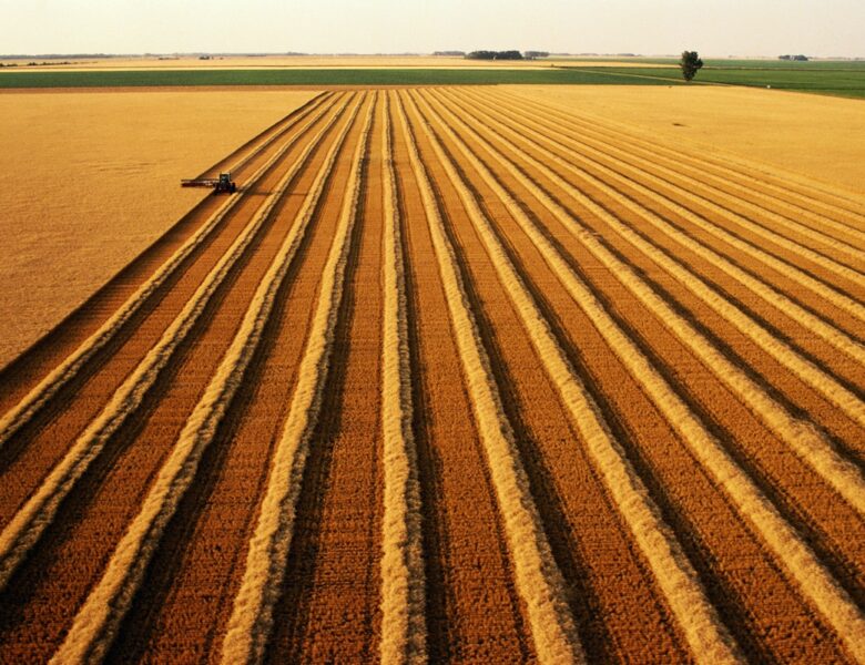 В Україні скоротилося виробництво агропродукції на понад 18%