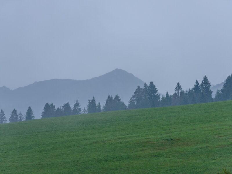 В Україні збережеться прохолодна погода, місцями дощитиме