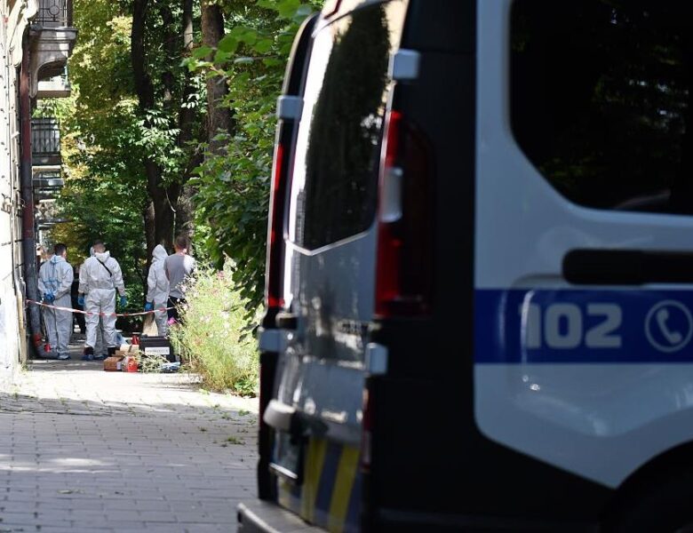 Вбивство Парубія: оприлюднено деталі розслідування