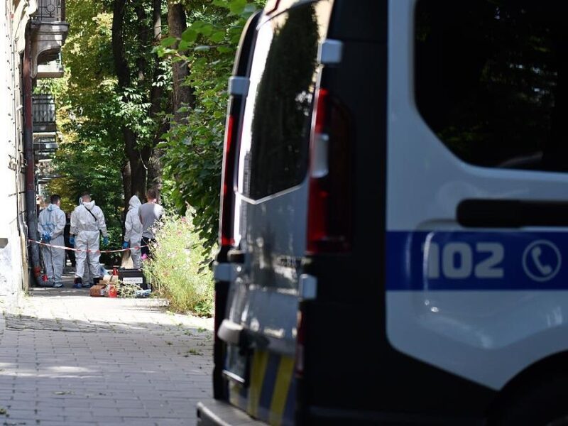 Вбивство Парубія: оприлюднено деталі розслідування