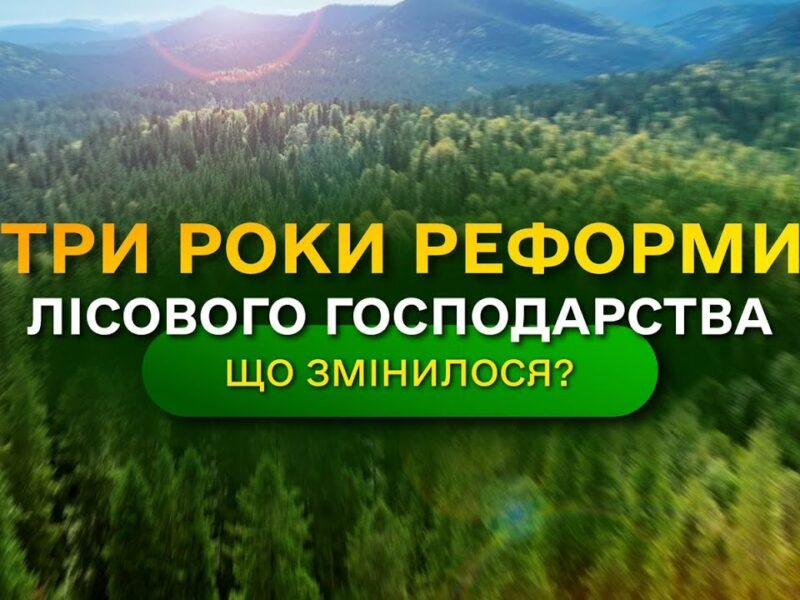 Результати ЛІСОВОЇ РЕФОРМИ – що отримала УКРАЇНА? / ДП “Ліси України”