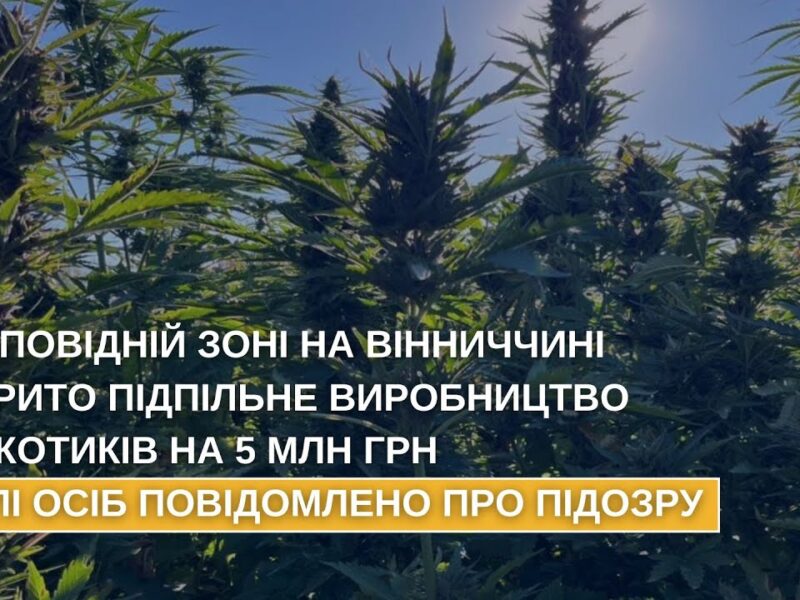 У заповідній зоні на Вінниччині викрито підпільне виробництво наркотиків на 5 млн грн