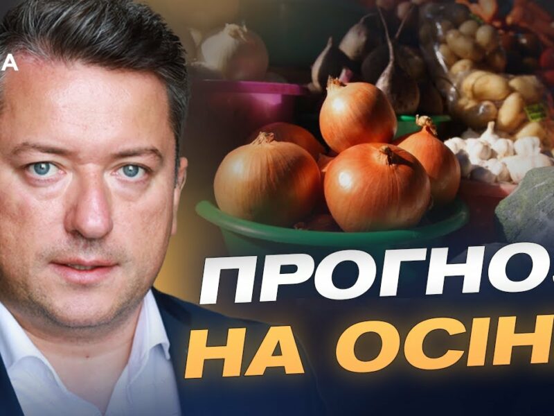 Прогноз цін на м’ясо, олію та овочі: що зміниться у жовтні | Дмитро Соломчук
