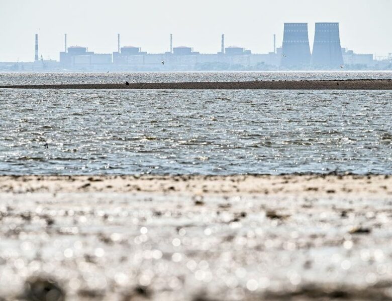 Блекаут на ЗАЕС: стало відомо про навмисні дії РФ