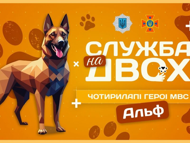 🧨 АЛЬФ — рятувальний пес-піротехнік | Служба на двох