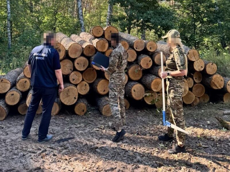 ДБР оголосило підозру екскерівнику лісгоспу Харківщини