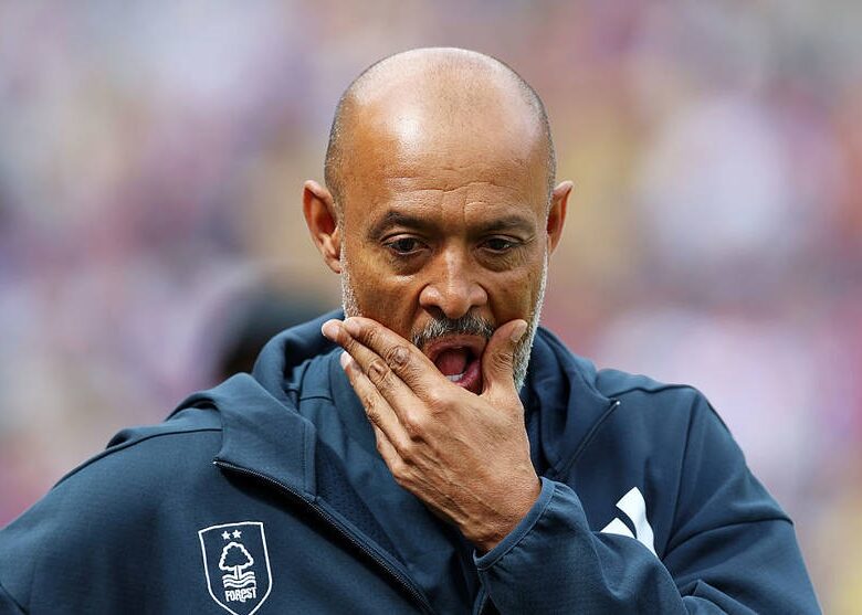 Головний тренер залишив новий клуб Зінченка