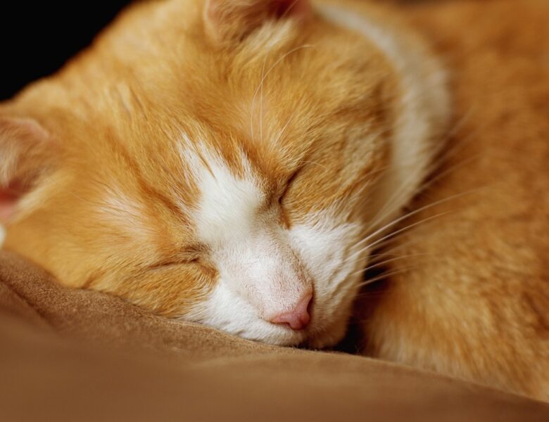 Гороскоп для всіх знаків зодіаку на 1 жовтня 2025 року