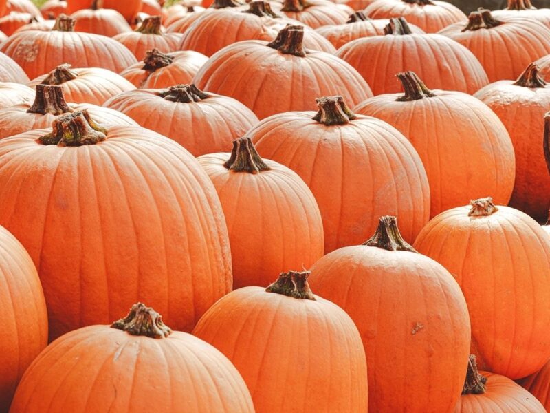 Гороскоп для всіх знаків зодіаку на 11 вересня 2025 року