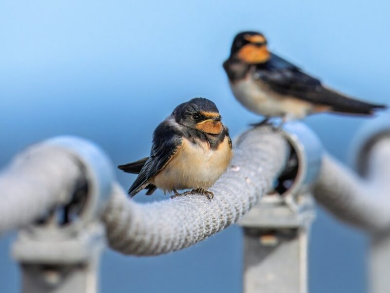 Гороскоп для всіх знаків зодіаку на 16 вересня 2025 року