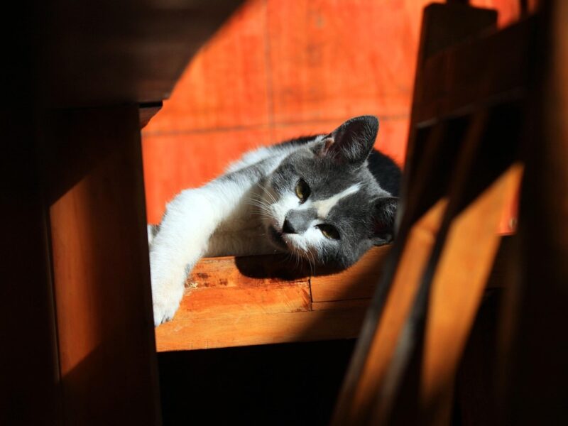 Гороскоп для всіх знаків зодіаку на 18 вересня 2025 року