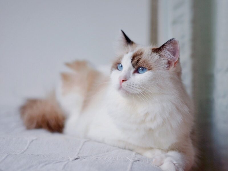 Гороскоп для всіх знаків зодіаку на 2 вересня 2025 року