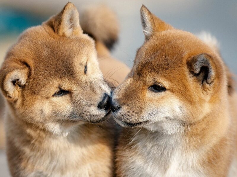 Гороскоп для всіх знаків зодіаку на 24 вересня 2025 року