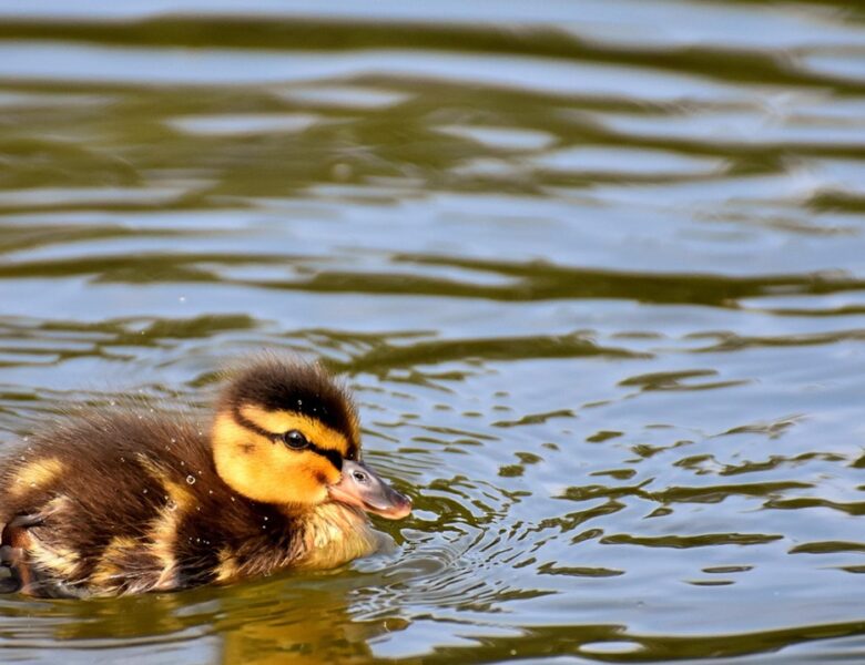 Гороскоп для всіх знаків зодіаку на 3 вересня 2025 року