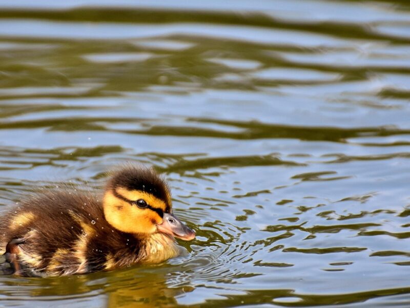 Гороскоп для всіх знаків зодіаку на 3 вересня 2025 року